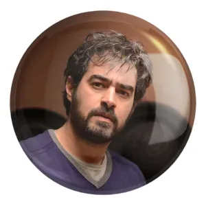 پیکسل بزرگ شهاب حسینی