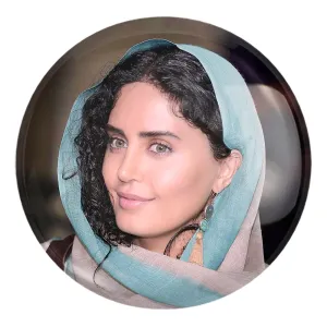 پیکسل بزرگ الناز شاکردوست