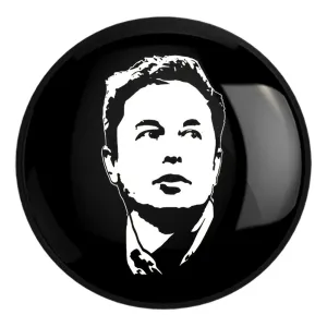 پیکسل بزرگ ایلان ماسک Elon Musk
