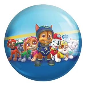 پیکسل بزرگ سگ های نگهبان Paw Patrol