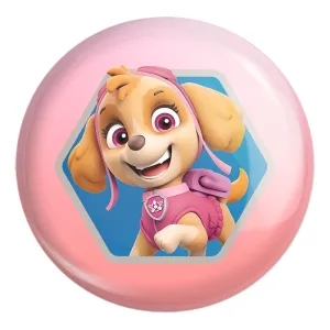 پیکسل بزرگ اسکای سگ های نگهبان Paw Patrol