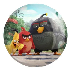 پیکسل بزرگ پرندگان خشمگین Angry Birds