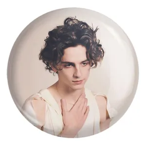 پیکسل بزرگ تیموتی شالامی Timothée Chalamet