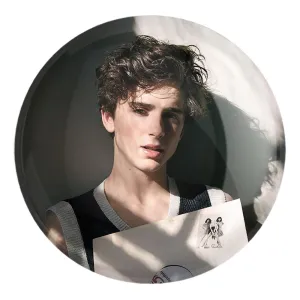 پیکسل بزرگ تیموتی شالامی Timothée Chalamet