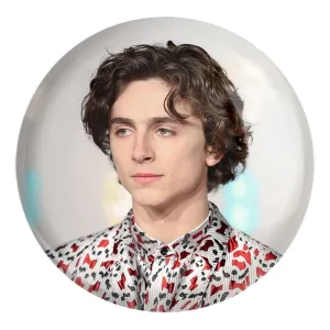 پیکسل بزرگ تیموتی شالامی Timothée Chalamet