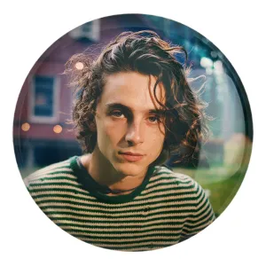 پیکسل بزرگ تیموتی شالامی Timothée Chalamet