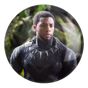 پیکسل بزرگ پلنگ سیاه مارول Marvel