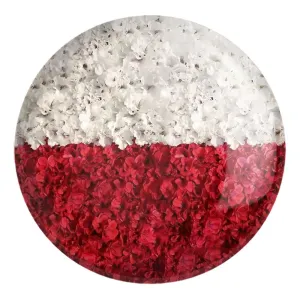 پیکسل بزرگ پرچم لهستان