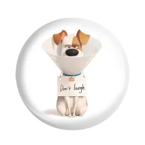 پیکسل زندگی پنهان حیوانات خانگی The Secret Life of Pets