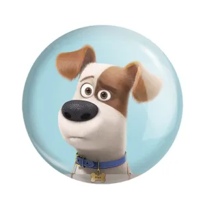 پیکسل زندگی پنهان حیوانات خانگی The Secret Life of Pets