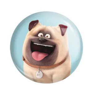 پیکسل زندگی پنهان حیوانات خانگی The Secret Life of Pets