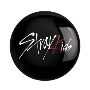 پیکسل گروه استری کیدز Stray Kids