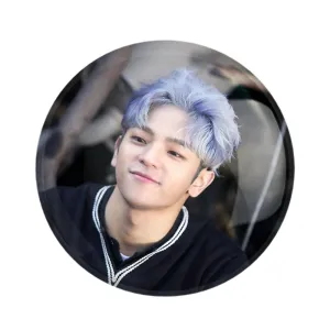 پیکسل ووجین گروه استری کیدز Stray Kids
