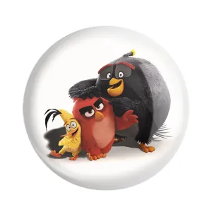 پیکسل پرندگان خشمگین Angry Birds