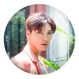 پیکسل بزرگ تن گروه ان سی تی NCT