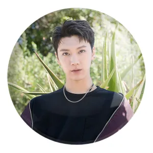 پیکسل بزرگ تن گروه ان سی تی NCT