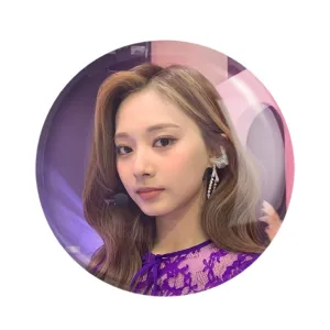 پیکسل جویی گروه توایس TWICE