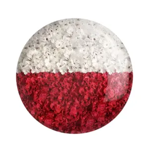 پیکسل پرچم لهستان