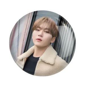 پیکسل سونگ کوان گروه سونتین Seventeen