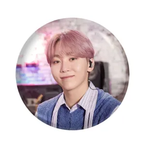 پیکسل سونگ کوان گروه سونتین Seventeen