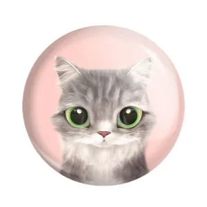 پیکسل گربه