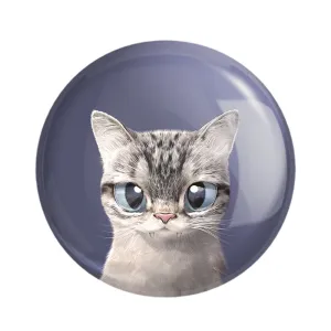 پیکسل گربه