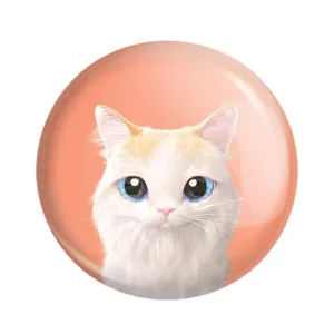 پیکسل گربه