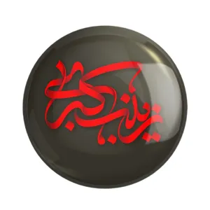 پیکسل حضرت زینب