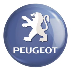 پیکسل بزرگ پژو Peugeot
