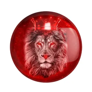 پیکسل پرسپولیس