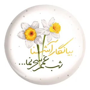 پیکسل بزرگ نیمه شعبان