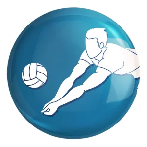 پیکسل بزرگ والیبال Volleyball