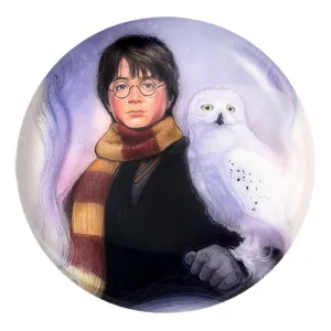 پیکسل بزرگ هری پاتر Harry Potter