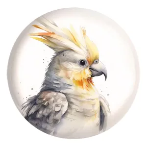 پیکسل بزرگ عروس هلندی