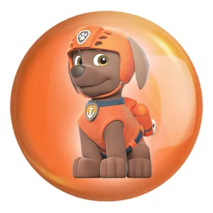پیکسل بزرگ سگ های نگهبان Paw Patrol
