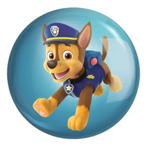 پیکسل بزرگ سگ های نگهبان Paw Patrol