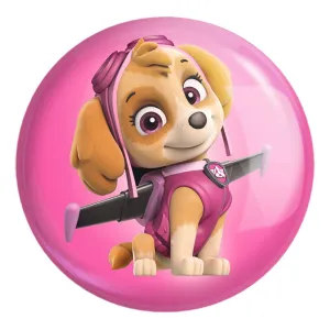 پیکسل بزرگ سگ های نگهبان Paw Patrol