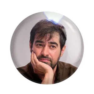 مگنت شهاب حسینی