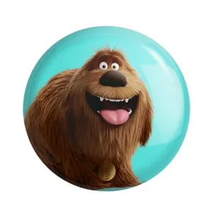 مگنت زندگی پنهان حیوانات خانگی The Secret Life of Pets