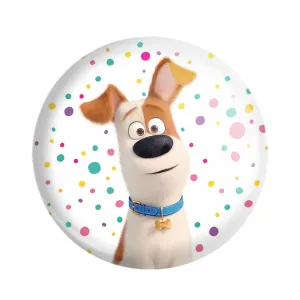 مگنت زندگی پنهان حیوانات خانگی The Secret Life of Pets