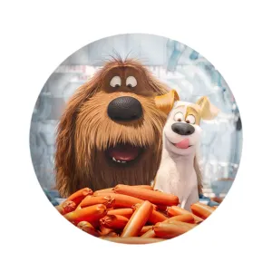 مگنت زندگی پنهان حیوانات خانگی The Secret Life of Pets