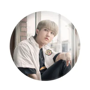 مگنت چانگبین گروه استری کیدز Stray Kids