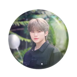 مگنت ووزی گروه سونتین Seventeen
