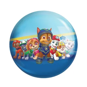 مگنت سگ های نگهبان Paw Patrol