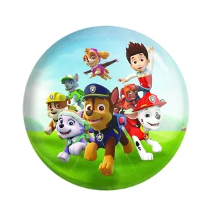 مگنت سگ های نگهبان Paw Patrol