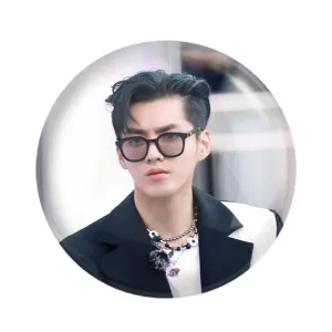 مگنت کریس وو گروه اکسو EXO