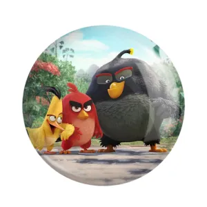 مگنت پرندگان خشمگین Angry Birds