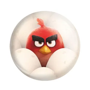 مگنت پرندگان خشمگین Angry Birds