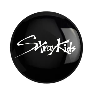 مگنت گروه استری کیدز Stary Kids