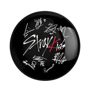 مگنت گروه استری کیدز Stary Kids